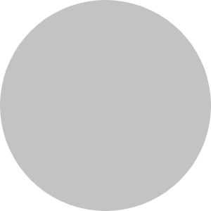 grey circle.png