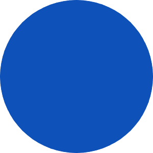 blue circle.png