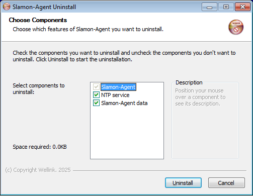 Slamon-Uninstallpng.png